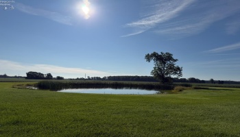 11918 County Road 12, Attica, 44807, 4 Bedrooms Bedrooms, ,2 BathroomsBathrooms,Residential,For Sale,County Road 12,20263382