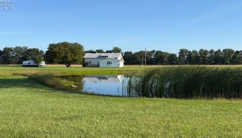 11918 County Road 12, Attica, 44807, 4 Bedrooms Bedrooms, ,2 BathroomsBathrooms,Residential,For Sale,County Road 12,20263382