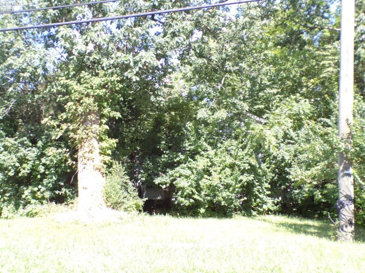 1133 Siler Street, Fremont, 43420, 2 Bedrooms Bedrooms, ,1 BathroomBathrooms,Residential,For Sale,Siler,20263394