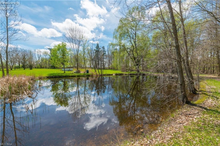 5226 State Route 60, Wakeman, 44889, 3 Bedrooms Bedrooms, ,2 BathroomsBathrooms,Residential,For Sale,State Route 60,20263400