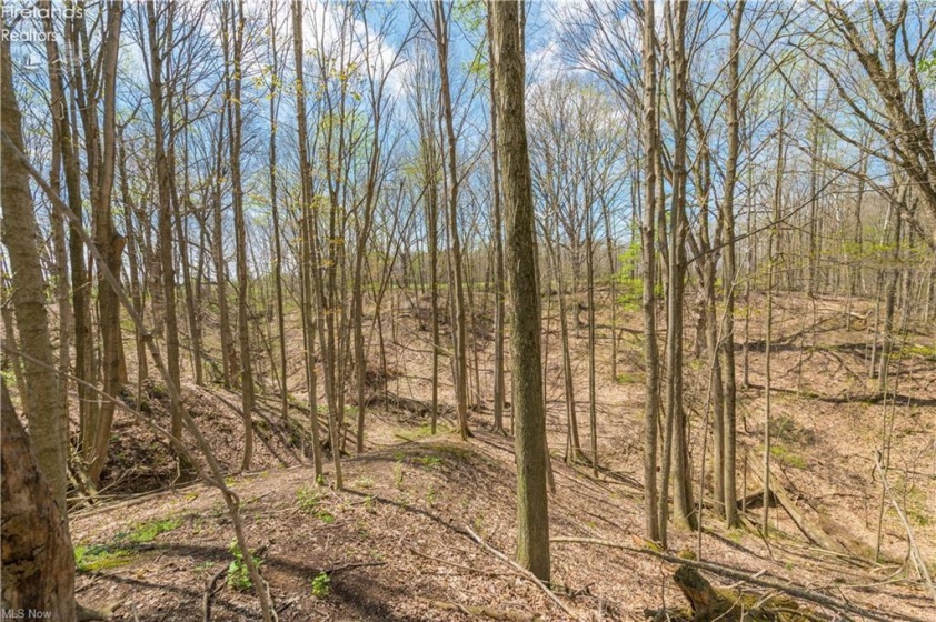 5226 State Route 60, Wakeman, 44889, 3 Bedrooms Bedrooms, ,2 BathroomsBathrooms,Residential,For Sale,State Route 60,20263400