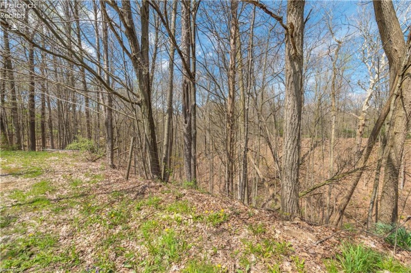 5226 State Route 60, Wakeman, 44889, 3 Bedrooms Bedrooms, ,2 BathroomsBathrooms,Residential,For Sale,State Route 60,20263400
