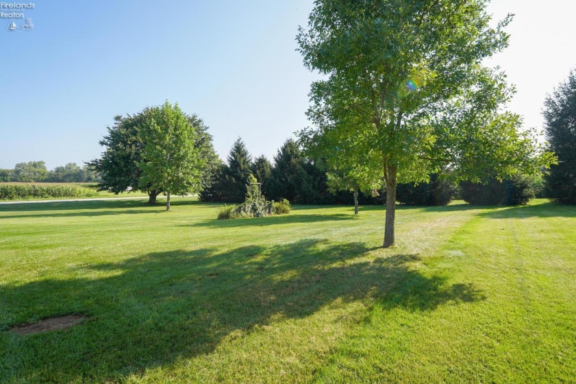 2299 County Road 181, Green Springs, 44836, 4 Bedrooms Bedrooms, ,2 BathroomsBathrooms,Residential,For Sale,County Road 181,20263453