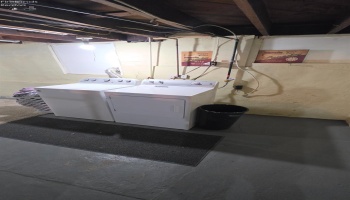 82 Liberty Street, Tiffin, 44883, 3 Bedroom Bedrooms, ,2 BathroomBathrooms,Residential,For Sale,Liberty,20263557