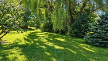 625 Bush Place, Fremont, 43420, 2 Bedroom Bedrooms, ,1 BathroomBathrooms,Residential,For Sale,Bush,20263579