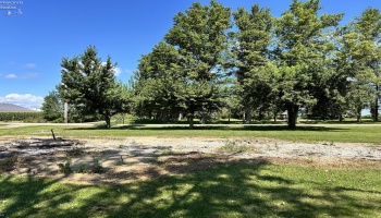 3540 County Road 14, New Riegel, 44853, ,Land,For Sale,County Road 14,20263621
