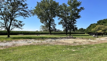 3540 County Road 14, New Riegel, 44853, ,Land,For Sale,County Road 14,20263621