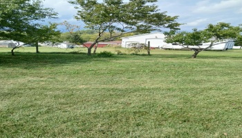 132 Ash Street, Attica, 44807, ,Land,For Sale,Ash,20263638