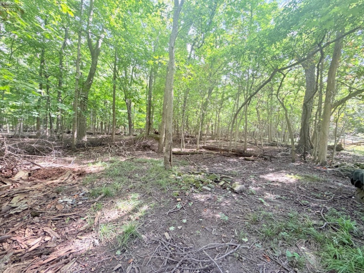 0 Memorial Shoreway Drive, Marblehead, 43440, ,Land,For Sale,Memorial Shoreway,20263598