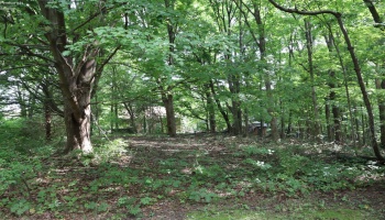 555 St Rt 61 N, Norwalk, 44857, 3 Bedroom Bedrooms, ,1 BathroomBathrooms,Residential,For Sale,St Rt 61 N,20263701