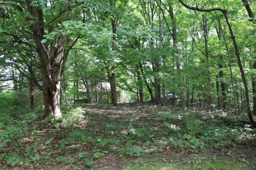 555 St Rt 61 N, Norwalk, 44857, 3 Bedroom Bedrooms, ,1 BathroomBathrooms,Residential,For Sale,St Rt 61 N,20263701