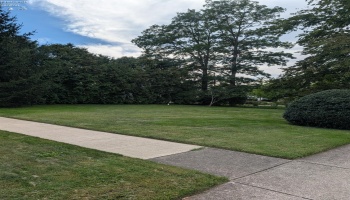 793 Park Avenue, Amherst, 44001, 2 Bedroom Bedrooms, ,1 BathroomBathrooms,Residential,For Sale,Park,20263740 793 Park Avenue, Amherst, 44001, 2 Bedroom Bedrooms, ,1 BathroomBathrooms,Residential,For Sale,Park,20263740