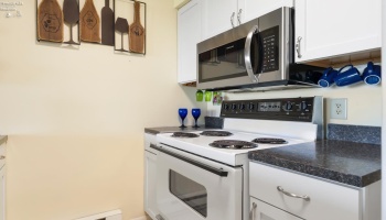 348 Toledo Avenue, Put-In-Bay, 43456, 1 Bedroom Bedrooms, ,1 BathroomBathrooms,Residential,For Sale,Toledo,20263791