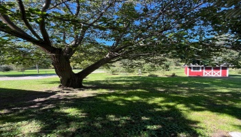 4242 County Road 175, Clyde, 43410, 3 Bedroom Bedrooms, ,2 BathroomBathrooms,Residential,For Sale,County Road 175,20263860