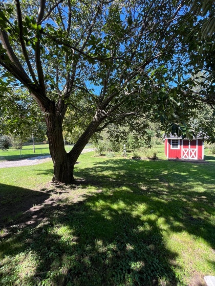 4242 County Road 175, Clyde, 43410, 3 Bedroom Bedrooms, ,2 BathroomBathrooms,Residential,For Sale,County Road 175,20263860