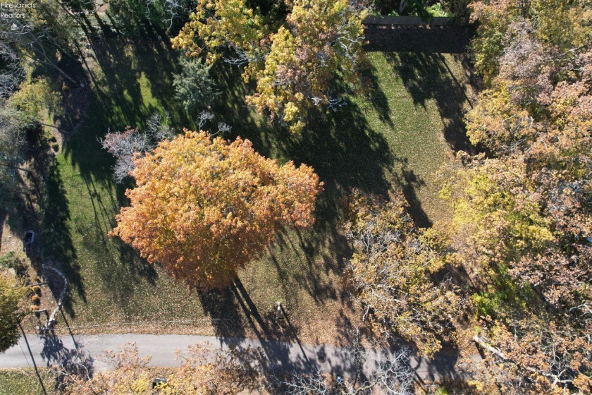0 Rock Cliff Drive, Port Clinton, 43452, ,Land,For Sale,Rock Cliff,20263958