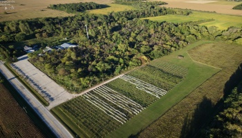 525 State Route 635, Helena, 43435, ,Commercial,For Sale,State Route 635,20263976