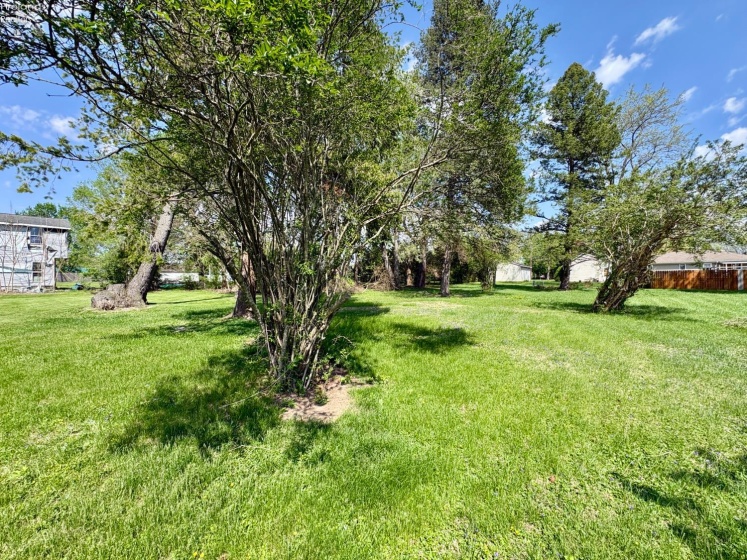 0 Thomas Street, Tiffin, 44883, ,Land,For Sale,Thomas,20264102