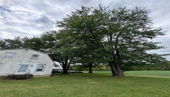 3419 Townline Road 12, Willard, 44890, 2 Bedroom Bedrooms, ,1 BathroomBathrooms,Residential,For Sale,Townline Road 12,20264086