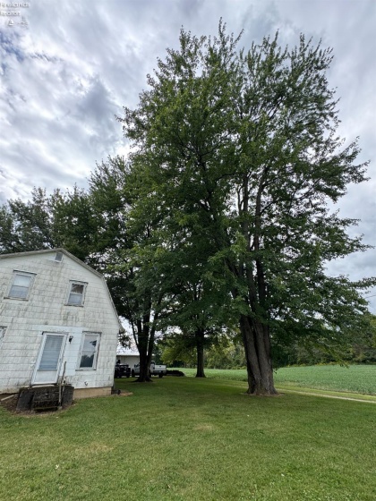 3419 Townline Road 12, Willard, 44890, 2 Bedroom Bedrooms, ,1 BathroomBathrooms,Residential,For Sale,Townline Road 12,20264086