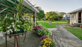 211 Fremont Avenue, Sandusky, 44870, 3 Bedroom Bedrooms, ,2 BathroomBathrooms,Residential,For Sale,Fremont,20264077 211 Fremont Avenue, Sandusky, 44870, 3 Bedroom Bedrooms, ,2 BathroomBathrooms,Residential,For Sale,Fremont,20264077