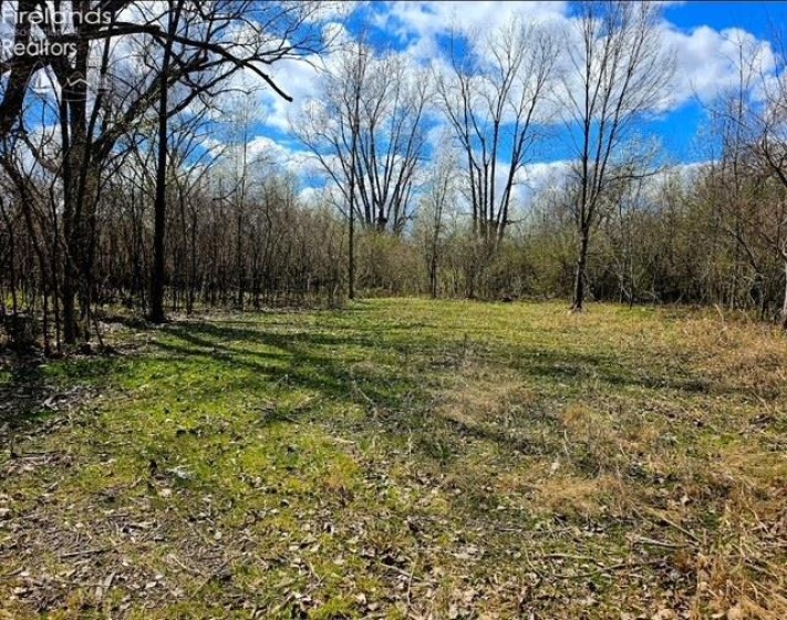 642 Penn Lane, Woodville, 43469, ,Land,For Sale,Penn Lane,20264106