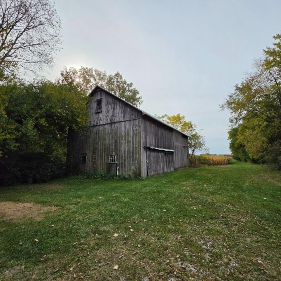 16504 County Road 62, Bellevue, 44811, 4 Bedroom Bedrooms, ,1 BathroomBathrooms,Residential,For Sale,County Road 62,20264148