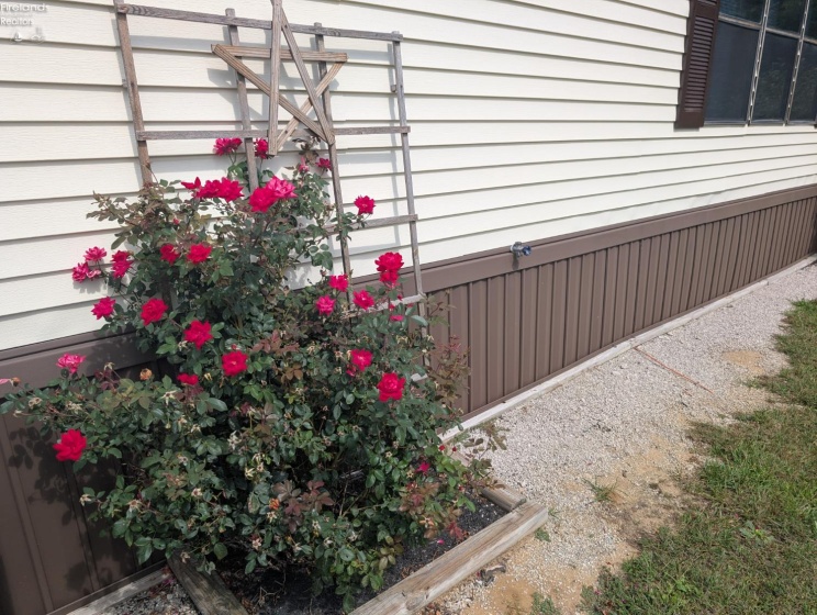 220 Maple Lane, Green Springs, 44836, 2 Bedroom Bedrooms, ,2 BathroomBathrooms,Residential,For Sale,Maple,20263784