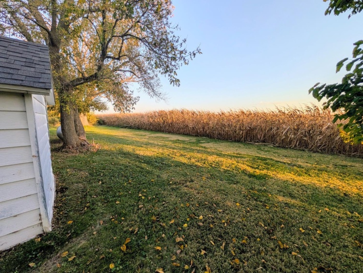 1352 County Road 320, Vickery, 43464, 2 Bedroom Bedrooms, ,2 BathroomBathrooms,Residential,For Sale,County Road 320,20264185