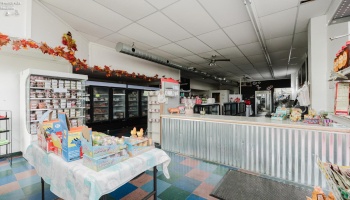 423 Perkins Avenue, Sandusky, 44870, ,Commercial,For Sale,Perkins,20264192