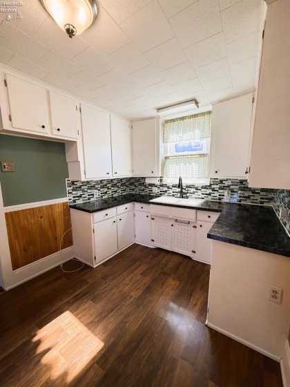 315 Locust Street, Oak Harbor, 43449, 2 Bedroom Bedrooms, ,1 BathroomBathrooms,Residential,For Sale,Locust,20264258