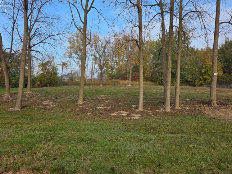 2119 Tiffin Avenue, Sandusky, 44870, ,Land,For Sale,Tiffin,20264303