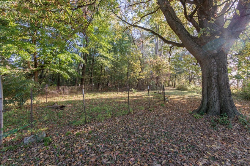 1915 State Route 113, Milan, 44846, 3 Bedroom Bedrooms, ,2 BathroomBathrooms,Residential,For Sale,State Route 113,20264362