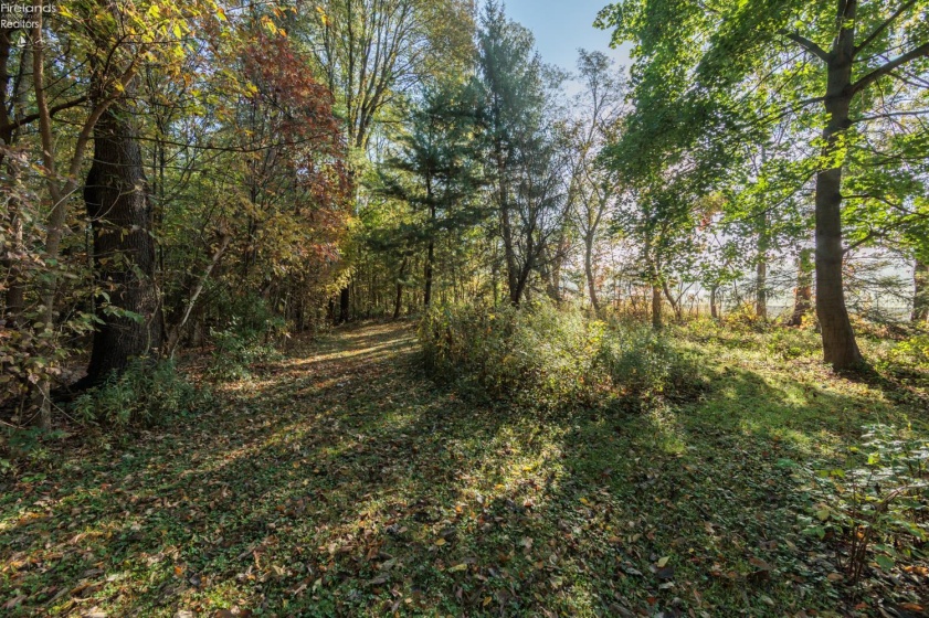 1915 State Route 113, Milan, 44846, 3 Bedroom Bedrooms, ,2 BathroomBathrooms,Residential,For Sale,State Route 113,20264362