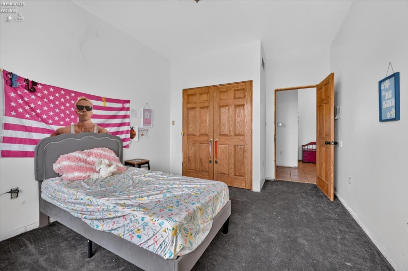 6780 County Road 67, Gibsonburg, 43431, 6 Bedroom Bedrooms, ,5 BathroomBathrooms,Residential,For Sale,County Road 67,20264338