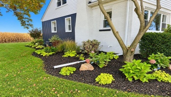318 County Road 89, Fremont, 43420, 4 Bedroom Bedrooms, ,1 BathroomBathrooms,Residential,For Sale,County Road 89,20264343
